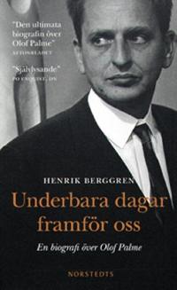 Omslagsbild för Underbara dagar framför oss