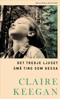 Omslagsbild för Det tredje ljuset ; Små ting som dessa