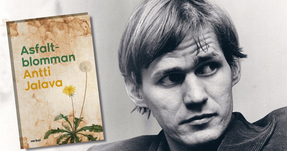 Antti Jalava och omslaget till Asfaltblomman.
