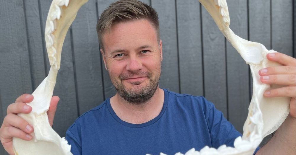 David Bernvi håller i hajtänder