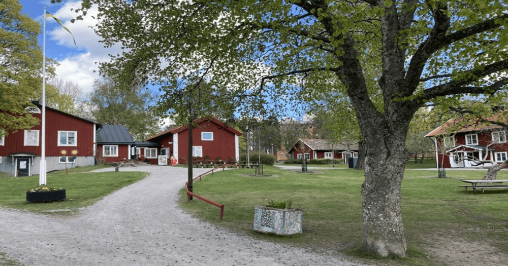 Fotografi av Husby gård på sommaren med ett träd i förgrunden. 