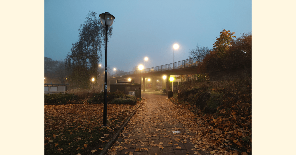 Fotografi av gångväg med höstlöv, upplyst av gatlyktor.