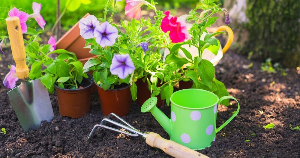 Krukor, blommor och odlingsverktyg utomhus.