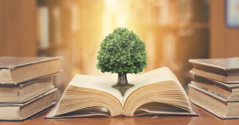 Kollage med ett träd som växer ur en uppslagen bok.